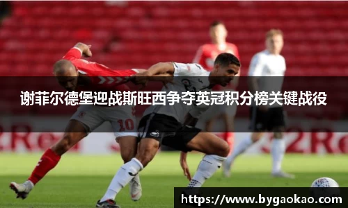 谢菲尔德堡迎战斯旺西争夺英冠积分榜关键战役