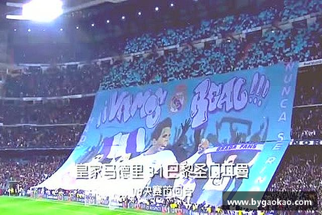 解读Bsport手机版